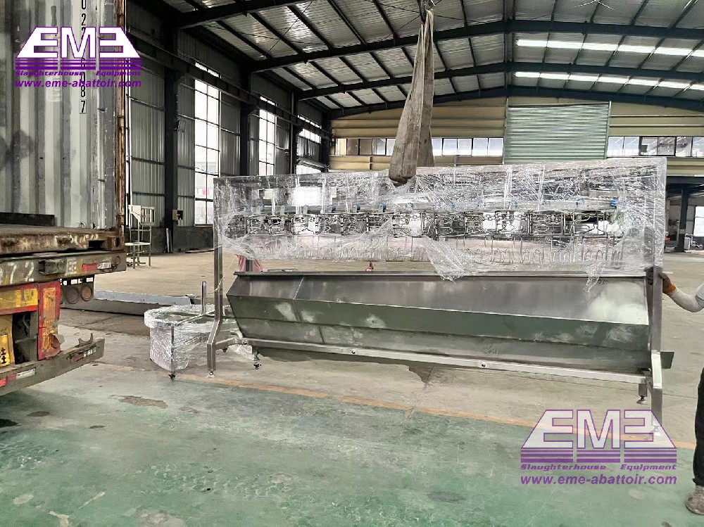 Angola  Customer Delivery Photos---500BPH Poultry breeding and abattoir equipment and accessories