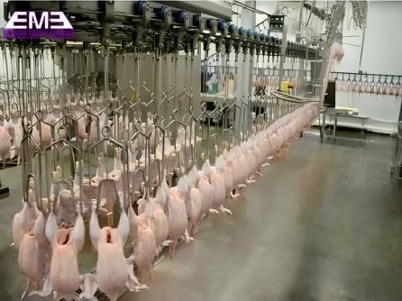 Poultry boneless automatic convey rail