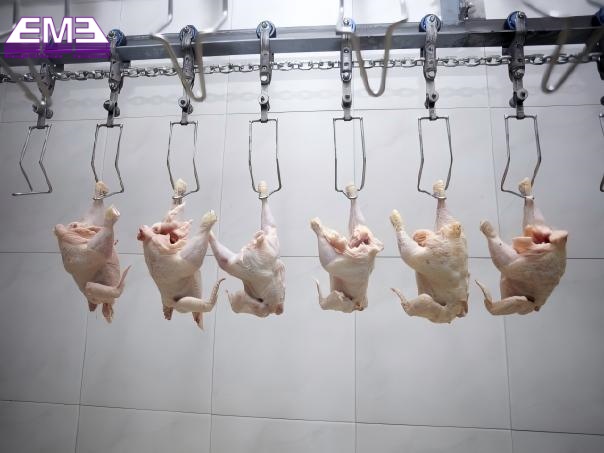 Poultry boneless automatic convey rail