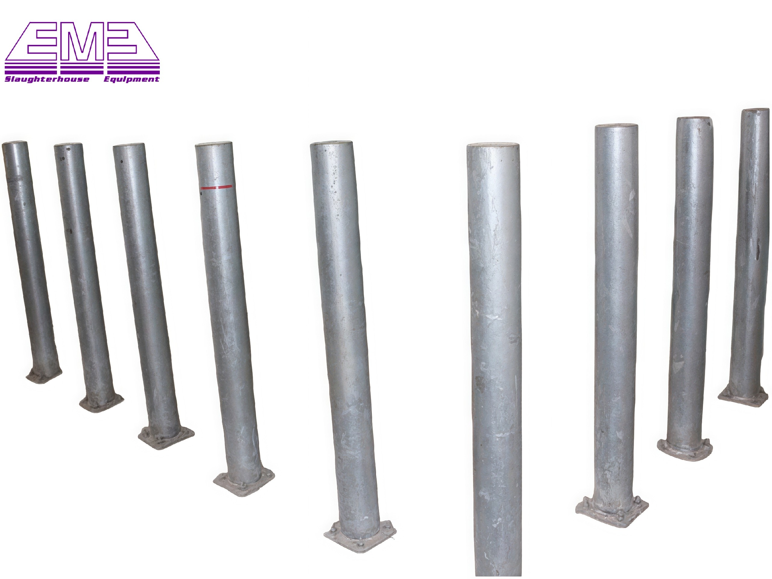 Live cattle fixed bolt