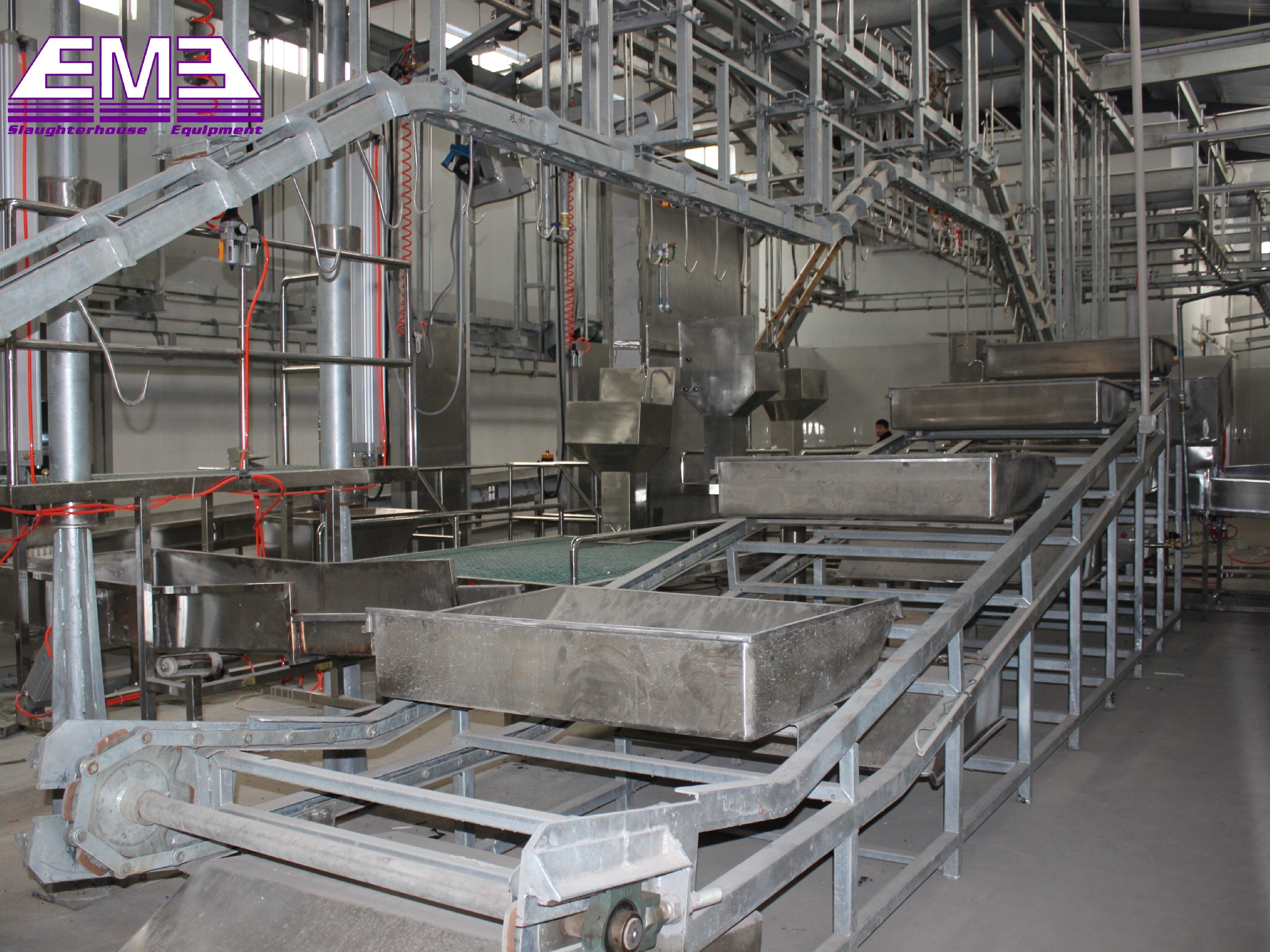 Cattle white viscera inspection tray conveyor