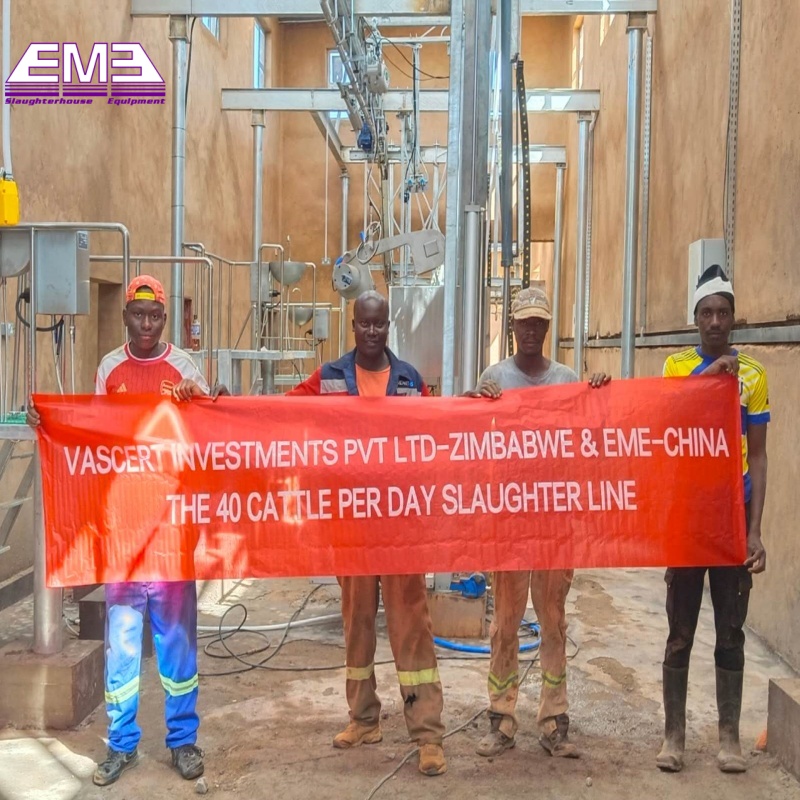 The 40 Cattle Per Day Slaughter Line-Zimbabwe