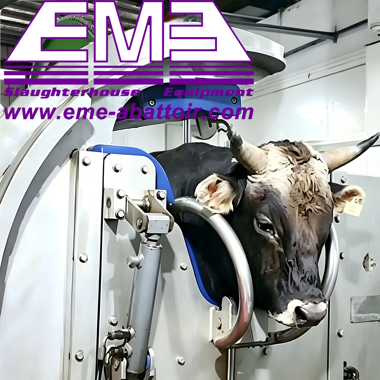 Slaughter Equipment:Live cattle hydraulic ritual halal killing box
