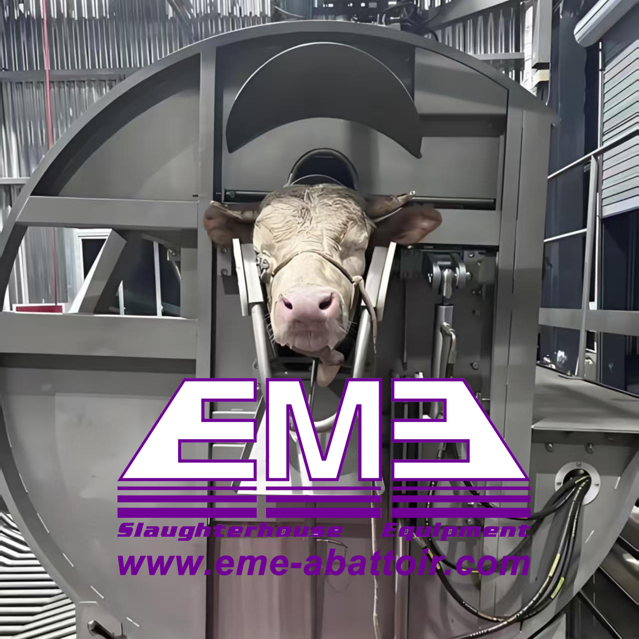 Slaughter Equipment:Live cattle hydraulic ritual halal killing box