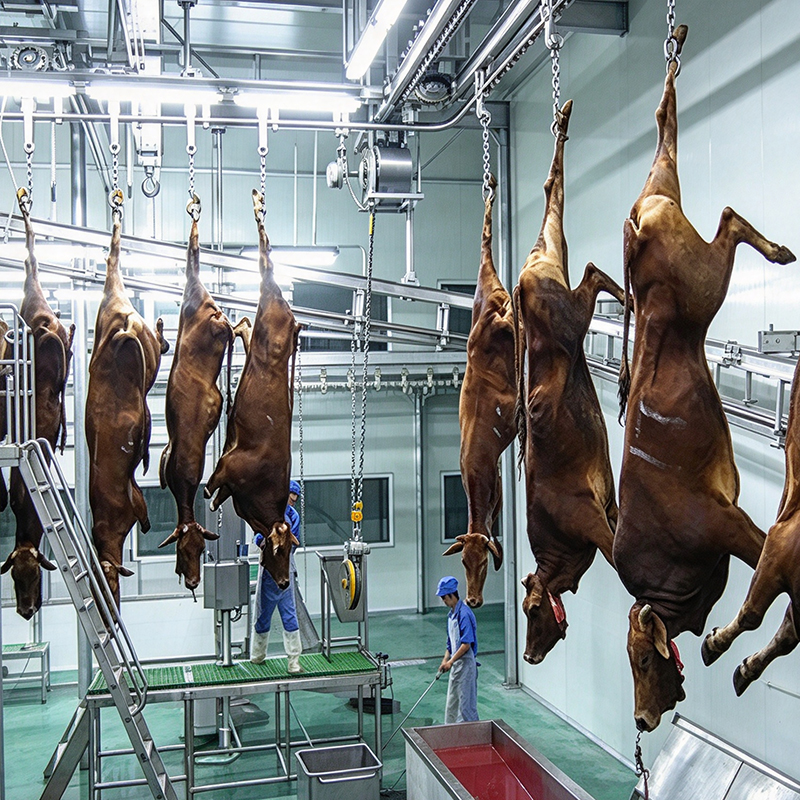 【QE-C110】Cattle bleeding automatic convey rail Cattle slaughterhouse equipment cow abattoir machine