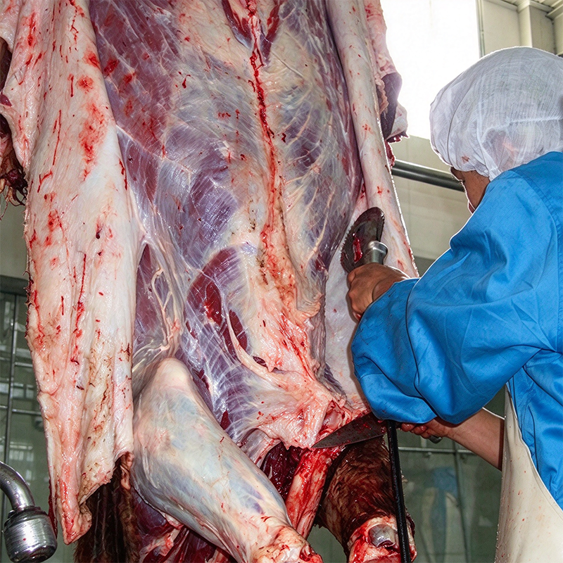 【QE-C213】Cattle pneumatic skinning knife slaughter machine Cattle slaughterhouse equipment cow abattoir machine