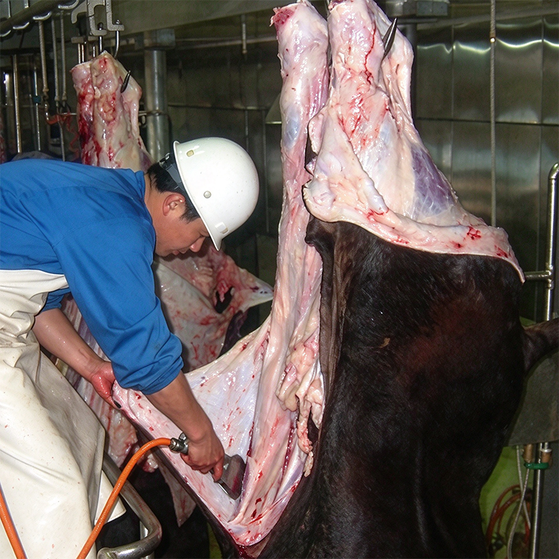 【QE-C213】Cattle pneumatic skinning knife slaughter machine Cattle slaughterhouse equipment cow abattoir machine