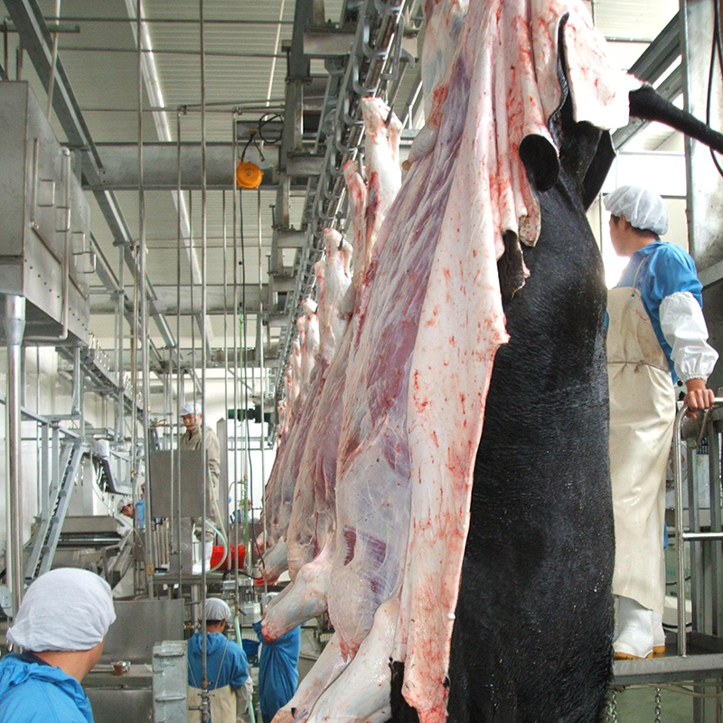 【QE-C217】Cattle carcass automatic convey system slaughter machine Cattle slaughterhouse equipment cow abattoir machine