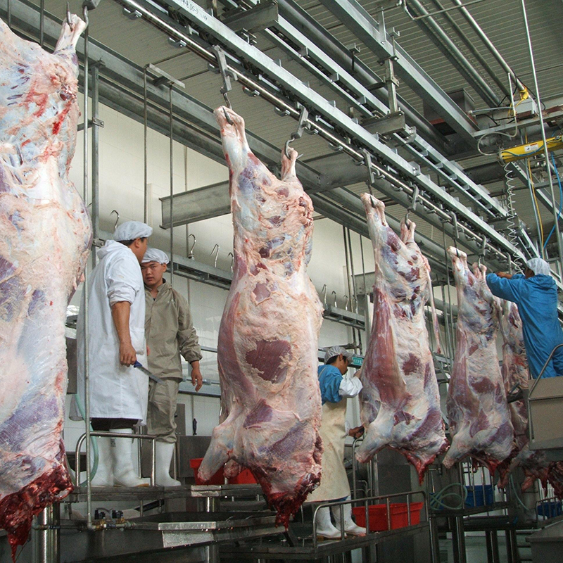【QE-C217】Cattle carcass automatic convey system slaughter machine Cattle slaughterhouse equipment cow abattoir machine