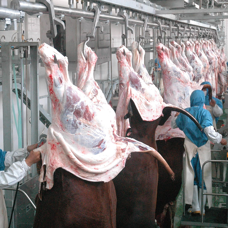 【QE-C217】Cattle carcass automatic convey system slaughter machine Cattle slaughterhouse equipment cow abattoir machine