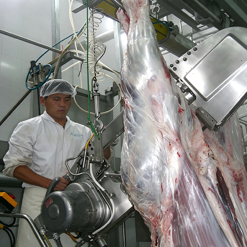 【QE-C230】Cattle carcass band splitting saw slaughter machine Cattle slaughterhouse equipment cow abattoir machine