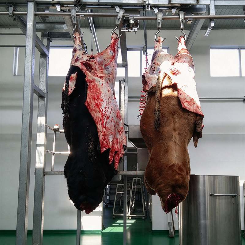 【QE-C301】Cattle carcass automatic convey rail (Tube-rail, Dual-orbit, Flat-rail) slaughter machine Cattle slaughterhouse equipment cow abattoir machine