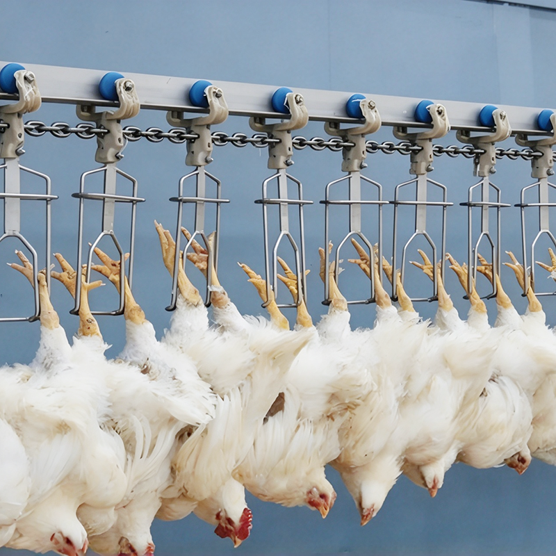 【QE-B105-I】Poultry bleeding automatic convey rail poultry abattoir slaughterhouse equipment chicken slaughter machine