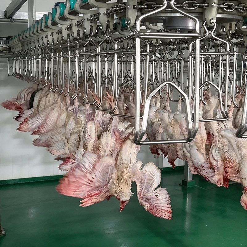【QE-B105-I】Poultry bleeding automatic convey rail poultry abattoir slaughterhouse equipment chicken slaughter machine
