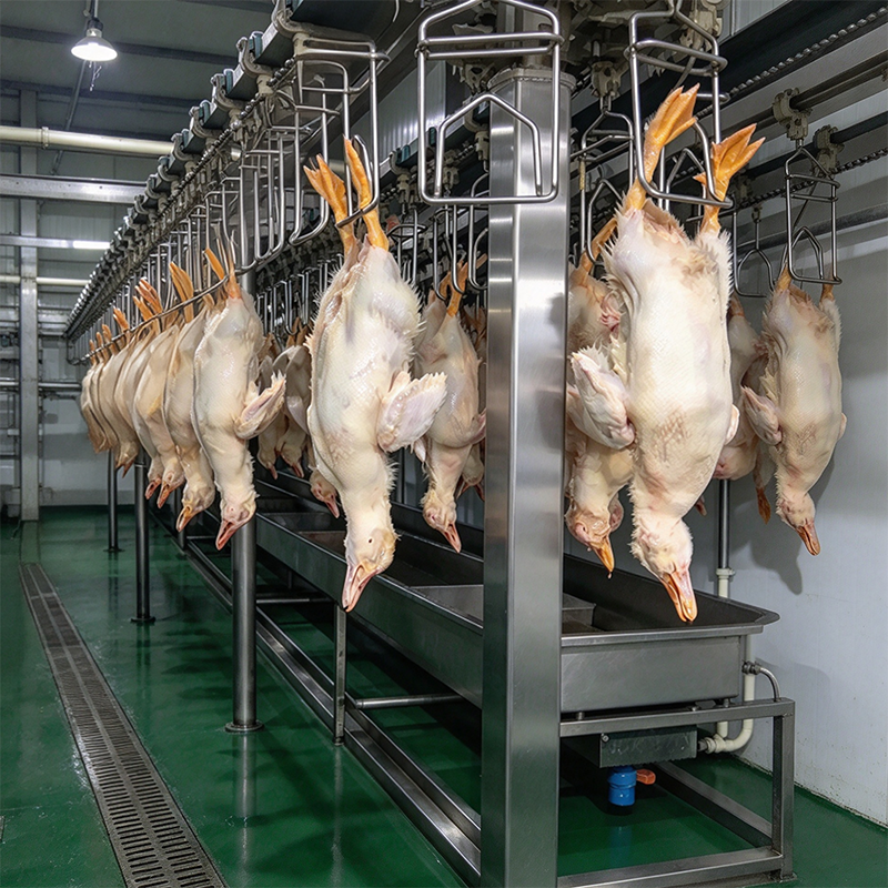 【QE-B105-I】Poultry bleeding automatic convey rail poultry abattoir slaughterhouse equipment chicken slaughter machine
