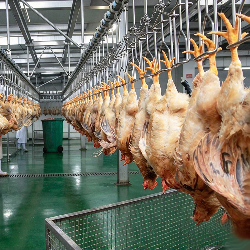 【QE-B105-I】Poultry bleeding automatic convey rail poultry abattoir slaughterhouse equipment chicken slaughter machine