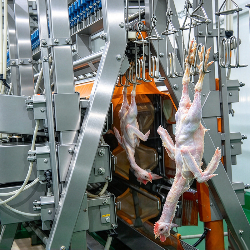 【QE-B109-V】Poultry fine feather vertical plucking machine poultry abattoir slaughterhouse equipment chicken slaughter machine