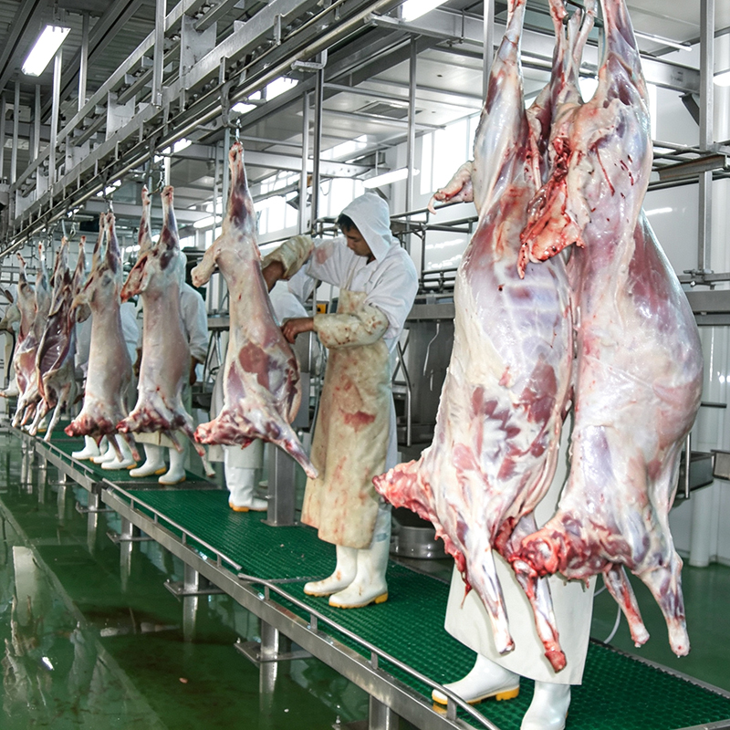 【QE-S201-III】Sheep(goat) carcass pre-skinning synchronous automatic convey rail sheep slaughterhouse slaughtering equipment goat abattoir goat slaughter line machine