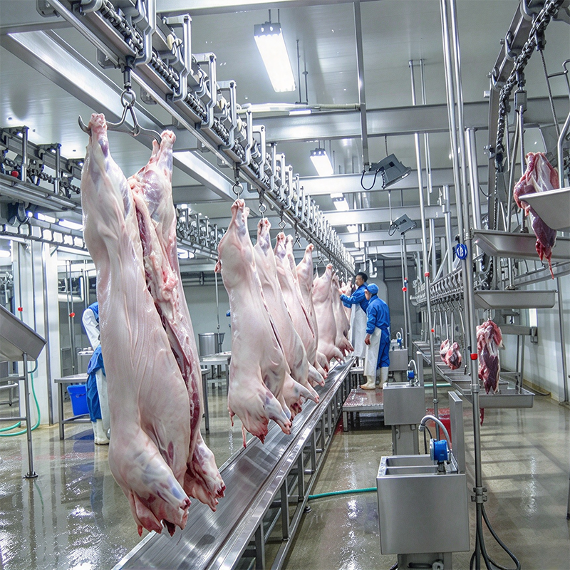 【QE-P201-I】Pig carcass processing automatic convey rail (Tube-track, Dual-track, Flat-track) pig abattoir slaughter equipment pig slaughterhouse meat processing machine