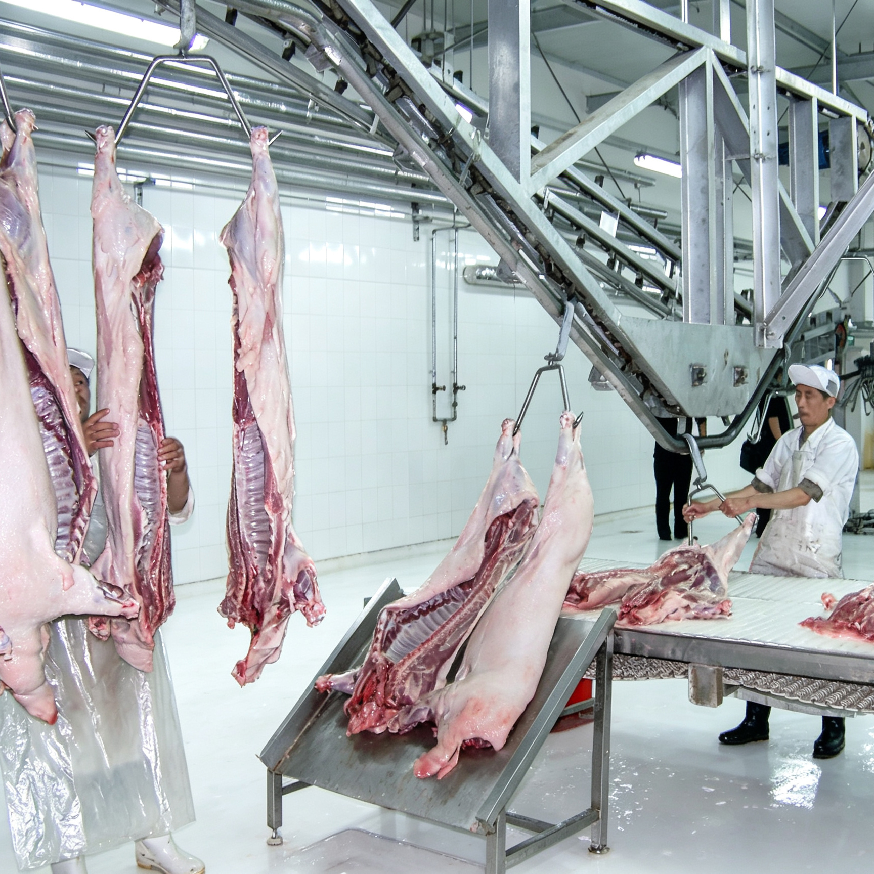 【QE-P201-I】Pig carcass processing automatic convey rail (Tube-track, Dual-track, Flat-track) pig abattoir slaughter equipment pig slaughterhouse meat processing machine