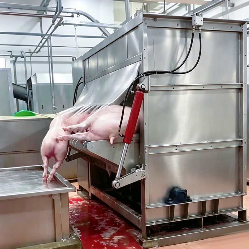 【QE-P204-I】Pig carcass dehairing machine-100 pig abattoir slaughter equipment pig slaughterhouse meat processing machine